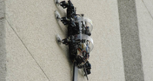 RISE robot od Boston Dynamics
